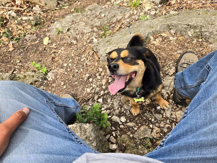 Family Pet Hospital Of Shawnee Picture 8