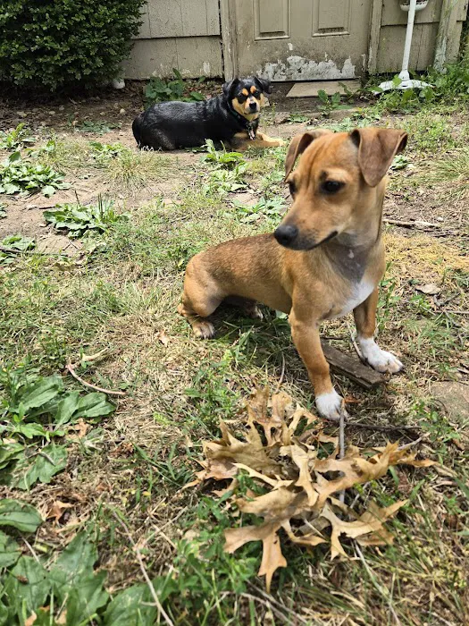 Family Pet Hospital Of Shawnee Picture 7