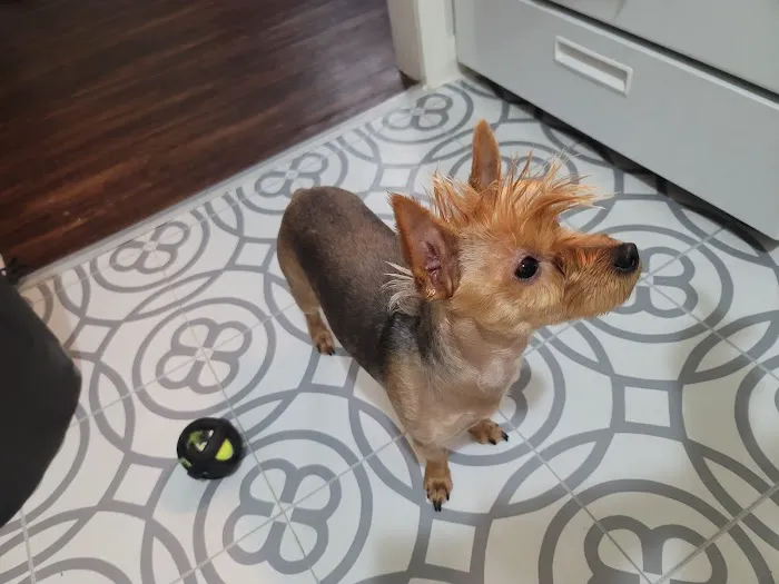 Banfield Pet Hospital Picture 1