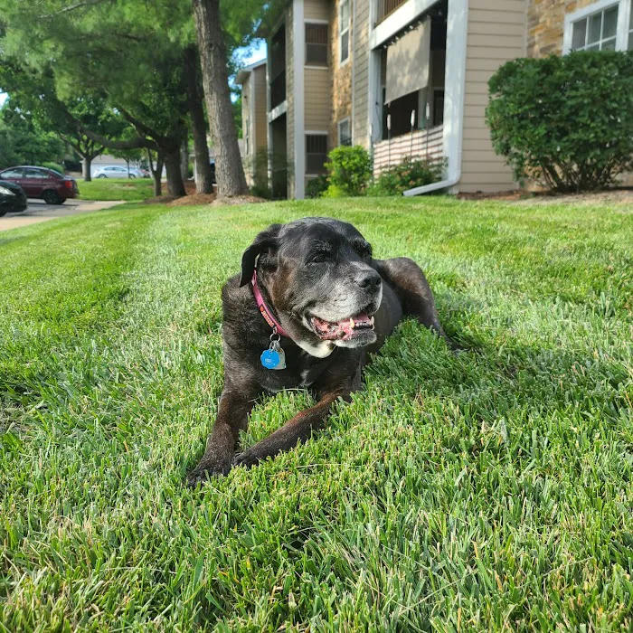 Banfield Pet Hospital Picture 4