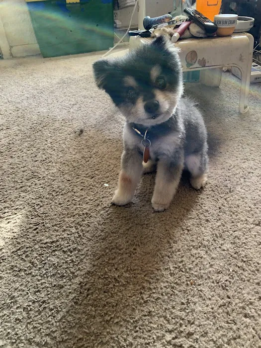 Banfield Pet Hospital Picture 7