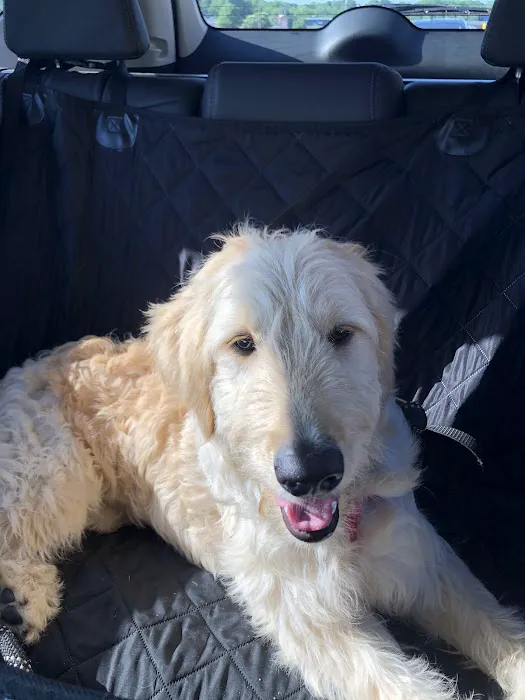 Banfield Pet Hospital Picture 2