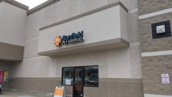 Banfield Pet Hospital Picture 1