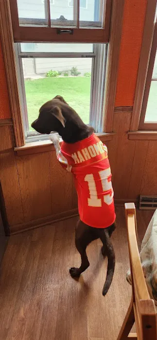 Banfield Pet Hospital Picture 5