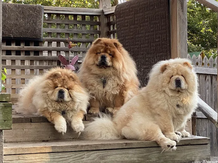 Banfield Pet Hospital Picture 7