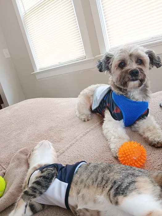 Banfield Pet Hospital Picture 6