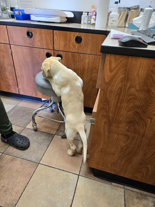 Banfield Pet Hospital Picture 8