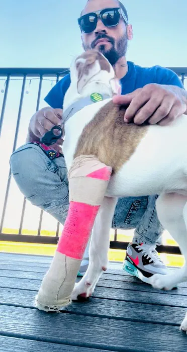 Pawsitive Pets Veterinary Care Picture 3