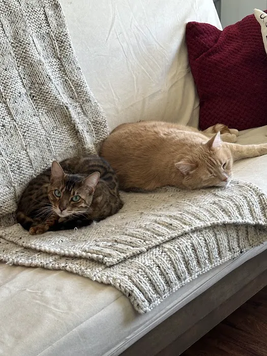 Gentle Care Animal Hospital Picture 3