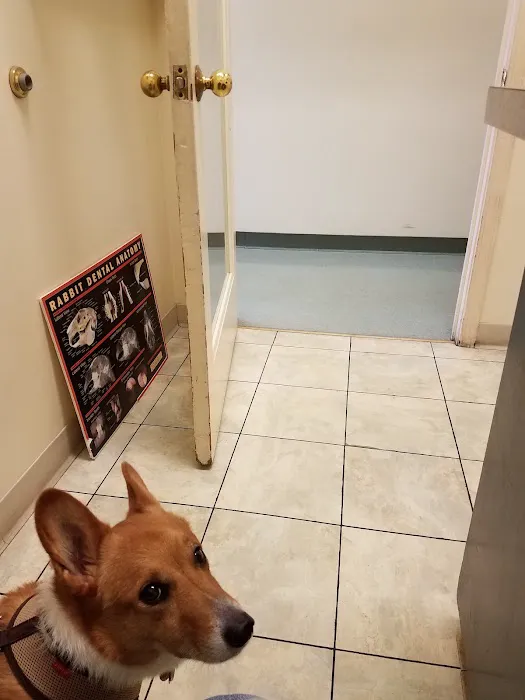 Gentle Care Animal Hospital Picture 4