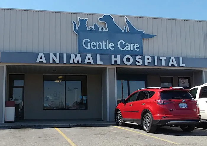 Gentle Care Animal Hospital Picture 9