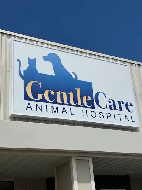 Gentle Care Animal Hospital Picture 8