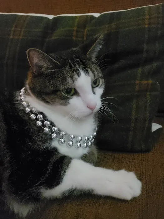 Lewis Veterinary Clinic Picture 9