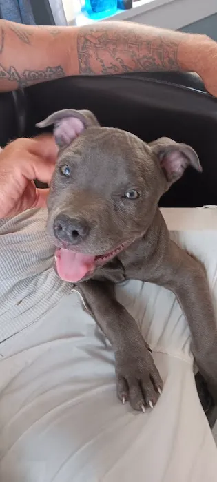 Lewis Veterinary Clinic Picture 8