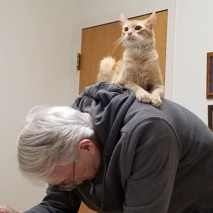 Animal Hospital of Lawrence Picture 8