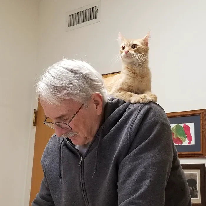 Animal Hospital of Lawrence Picture 9