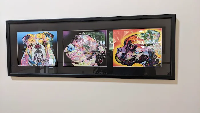 Animal Hospital of Lawrence Picture 10