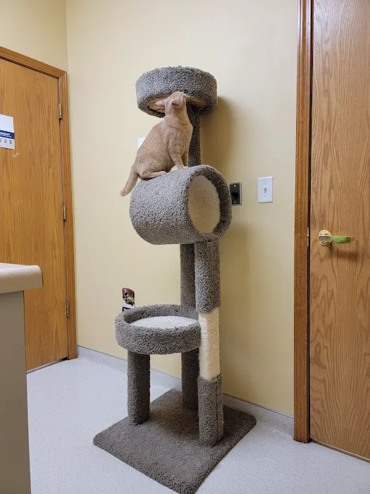 Wakarusa Veterinary Hospital Picture 2