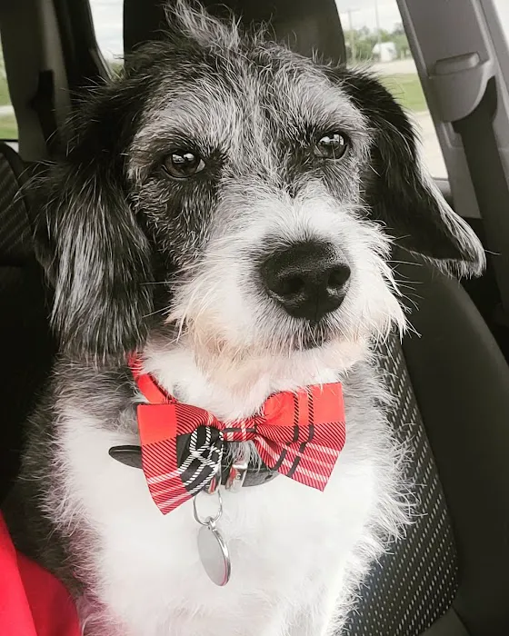 Wakarusa Veterinary Hospital Picture 3