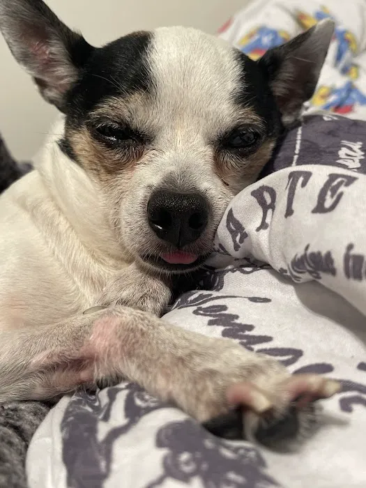 Wakarusa Veterinary Hospital Picture 5