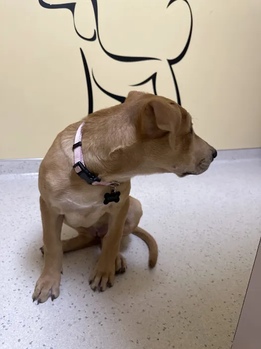 Wakarusa Veterinary Hospital Picture 6