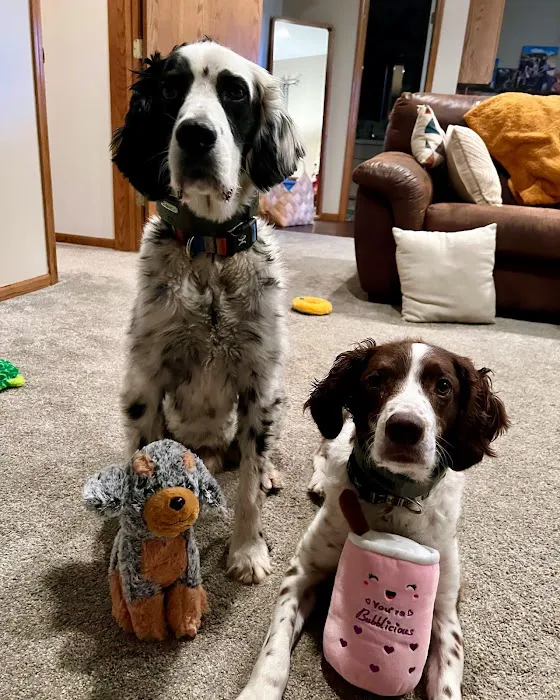 Wakarusa Veterinary Hospital Picture 8