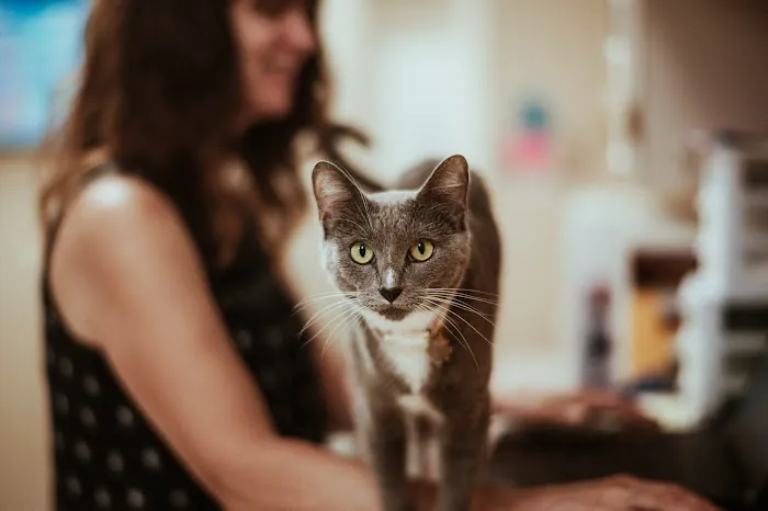 Wakarusa Veterinary Hospital Picture 10