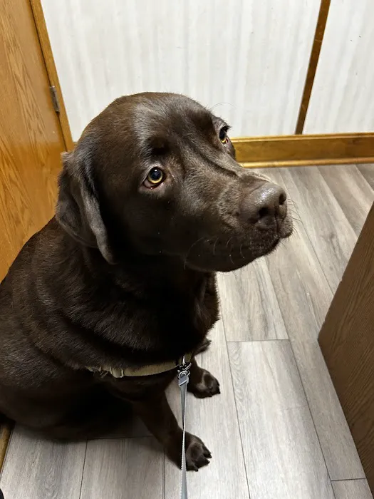 Eudora Animal Hospital Picture 2