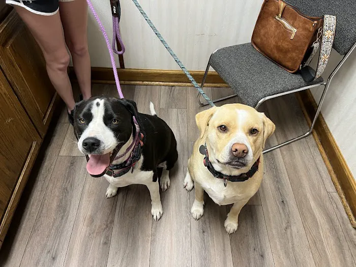 Eudora Animal Hospital Picture 8