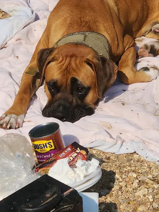 Eudora Animal Hospital Picture 9