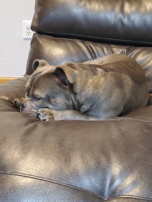 Eudora Animal Hospital Picture 10