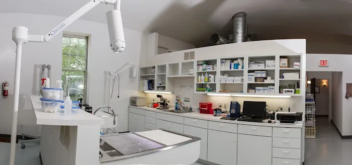 Cat Clinic of Lawrence Picture 10