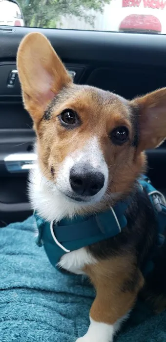 Allcare Animal Hospital Picture 1