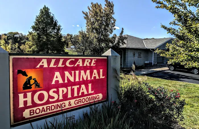 Allcare Animal Hospital Picture 7
