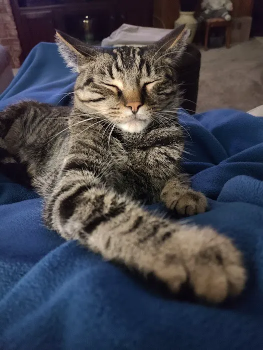 Allcare Animal Hospital Picture 6