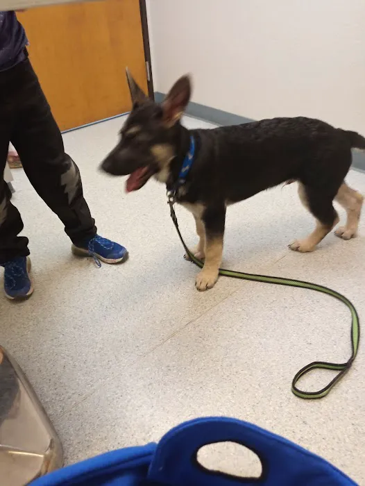 Allcare Animal Hospital Picture 10