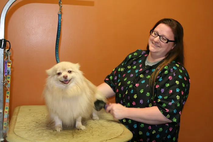 Falcon Valley Animal Hospital Picture 1