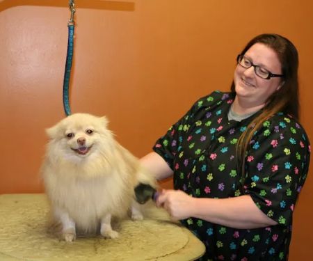 Falcon Valley Animal Hospital