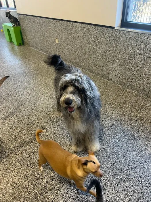 Falcon Valley Animal Hospital Picture 2