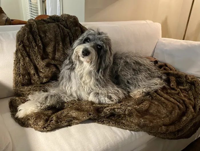 Falcon Valley Animal Hospital Picture 3