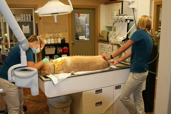 Falcon Valley Animal Hospital Picture 6