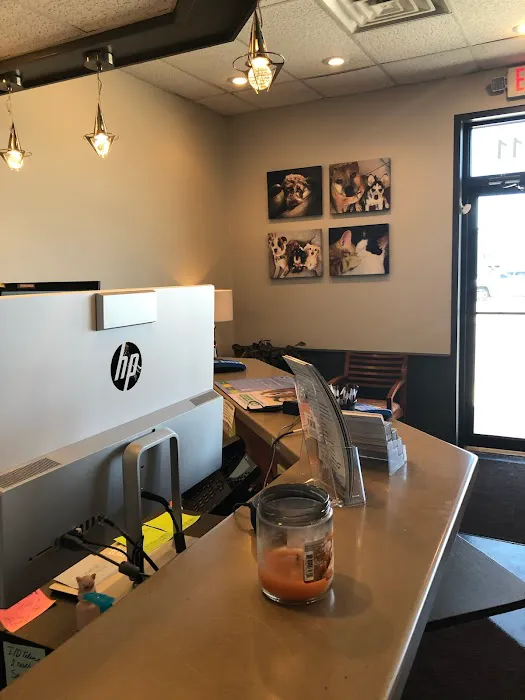 Falcon Valley Animal Hospital Picture 10