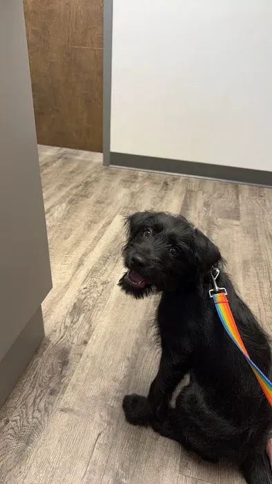 Country Hill Animal Clinic Picture 1