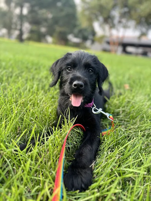 Country Hill Animal Clinic Picture 2