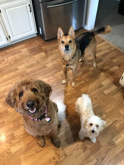 Country Hill Animal Clinic Picture 7