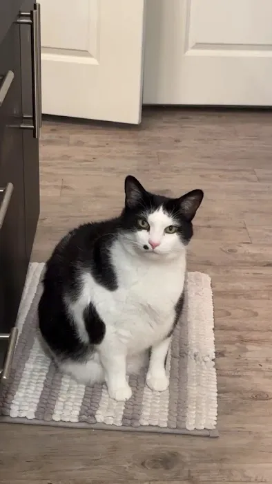 Country Hill Animal Clinic Picture 3