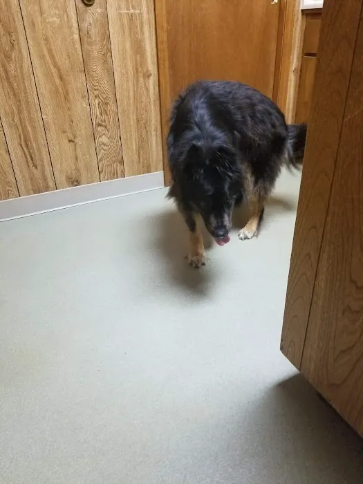 Country Hill Animal Clinic Picture 9