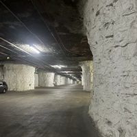 Ceva Biomune Cave ico