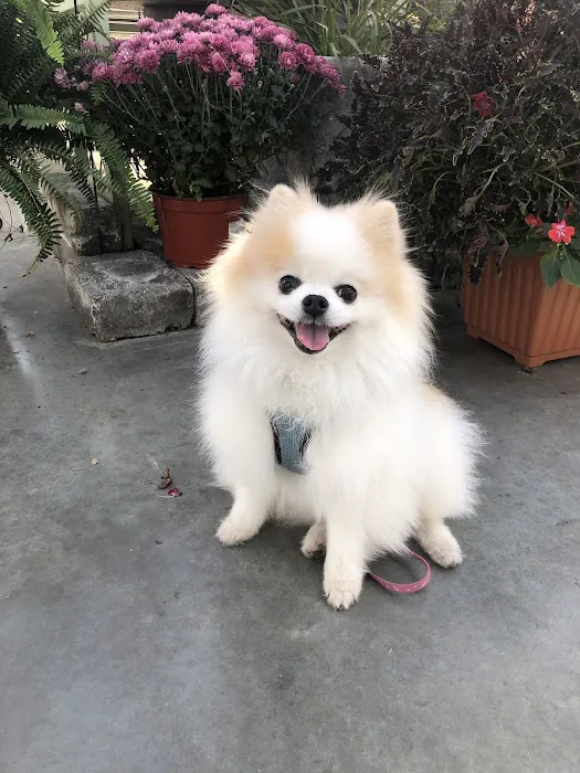 Parkway Animal Hospital Picture 2