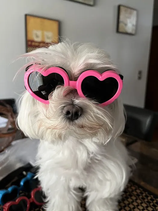 Parkway Animal Hospital Picture 6